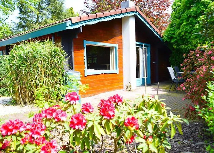 Sfeervol Houten Huis I Bosrijk Veluwe
