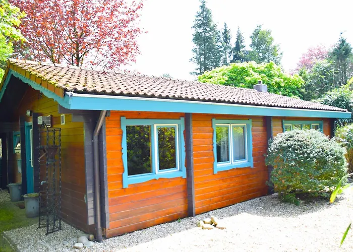 Sfeervol Houten Huis I Bosrijk Veluwe